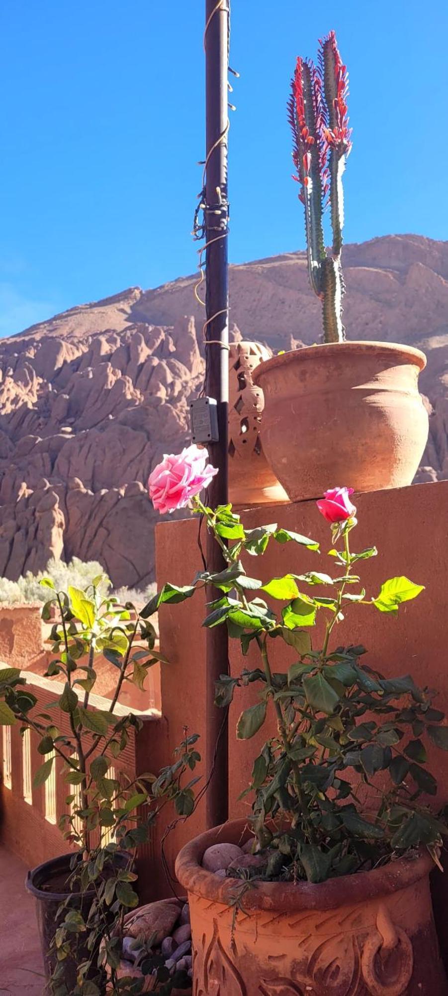 Tafsut Dades Guesthouse Stay With Locals Tamellalt  المظهر الخارجي الصورة